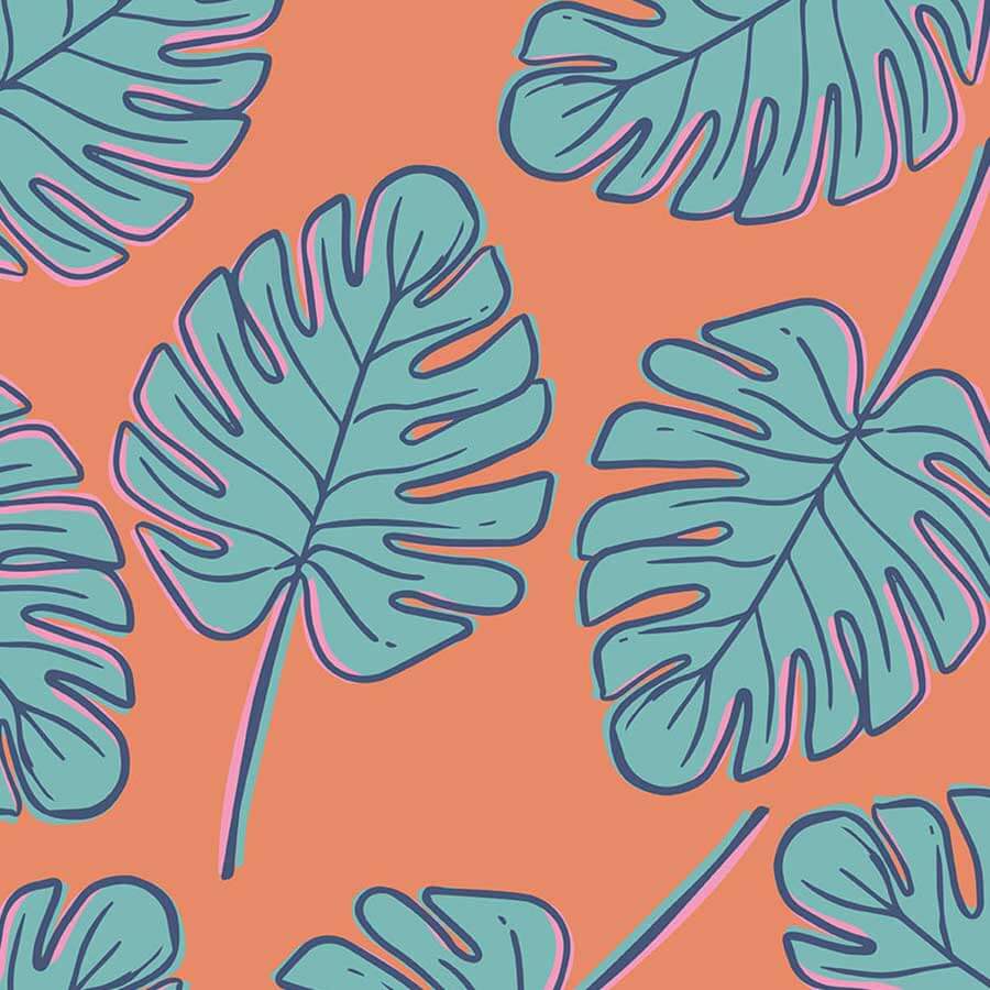 Montsera design fo nature collection